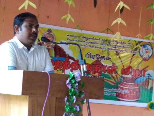 Thaipongal celebrations