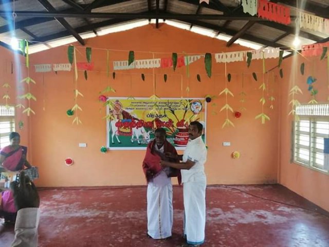 Thaipongal celebrations