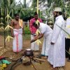 Thaipongal celebrations
